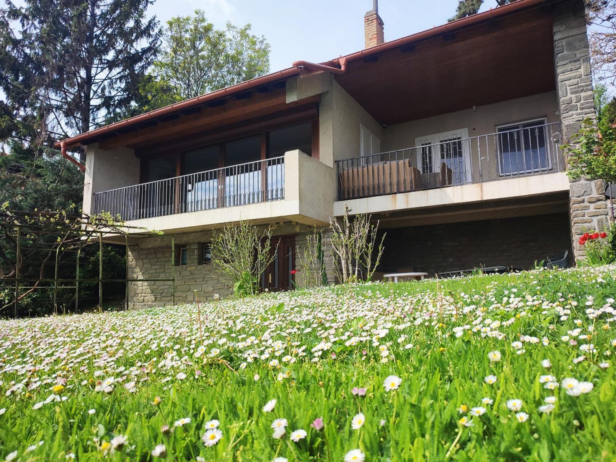 Dorka Villa Tihany Kültér fotó